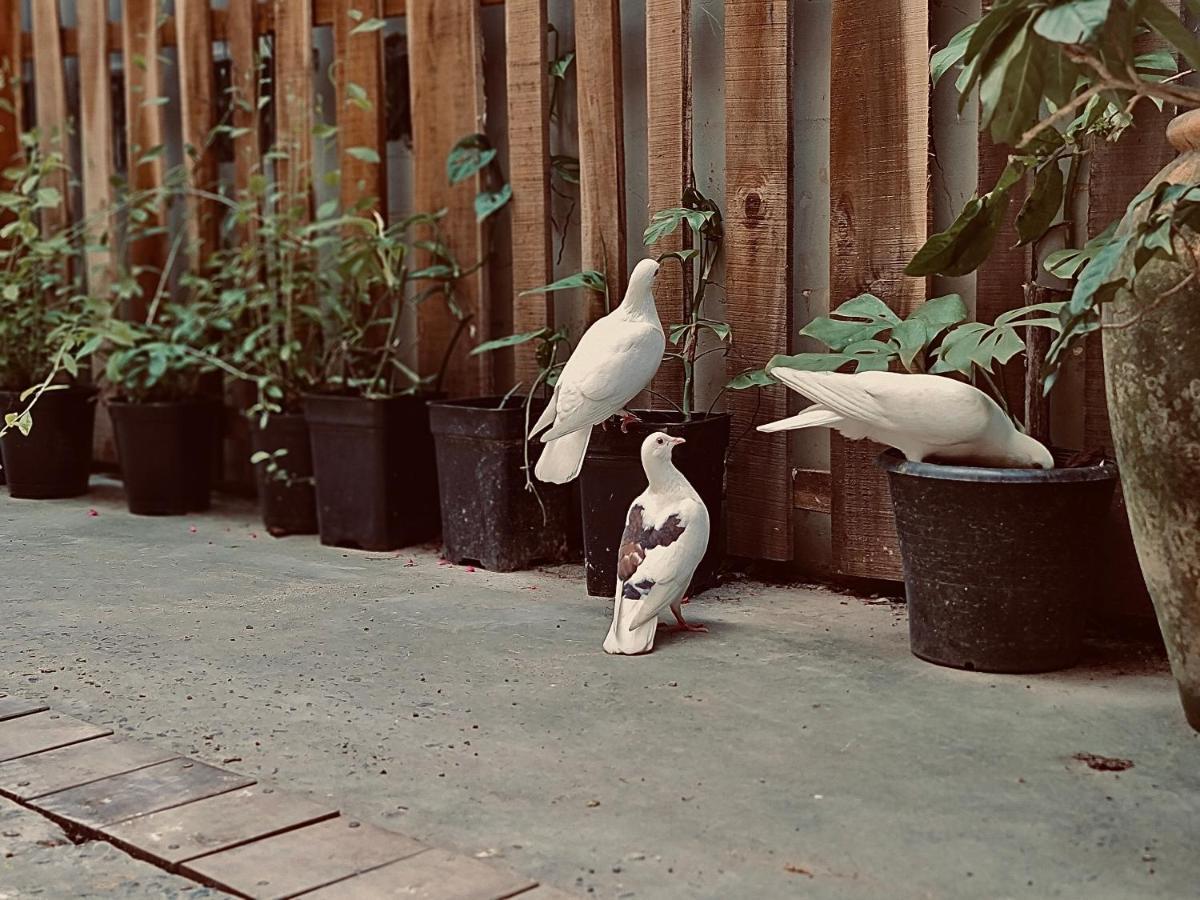 Hotel Tinh House Phú Quý Zewnętrze zdjęcie